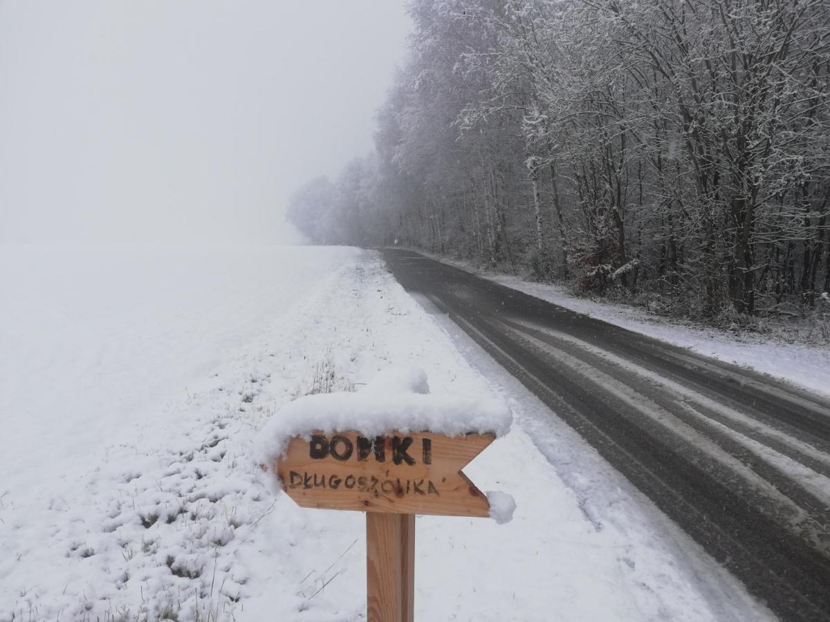 Zaborow Domki Caloroczne Dlugoszowka Pod Rzeszowem Ruska Bania, Basen别墅 外观 照片